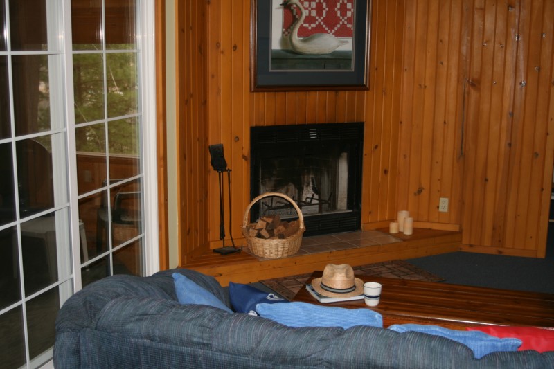 Birches 2 bedroom living room fireplace